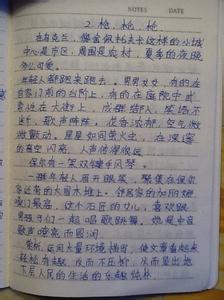 我的大学读后感100字 钢铁是怎样炼成的读后感100字