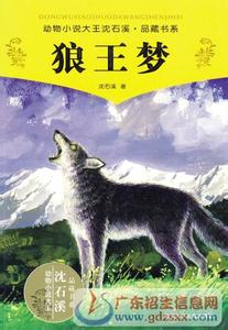 狼王梦的读后感500字 狼王梦读后感450字