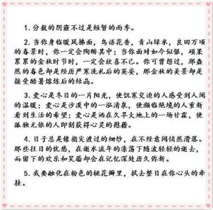 初中作文优美句子摘抄 满分作文优美句子摘抄