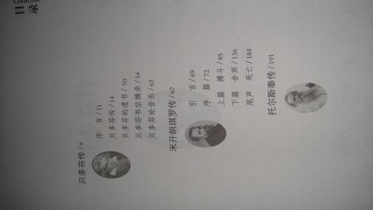 名人传主要内容300字 名人传主要内容