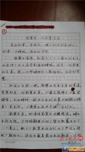 高考满分作文精选段落 精选满分作文优美句子和段落