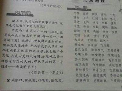 小学生摘抄好词好句 小学生暑假好词好句好段摘抄大全