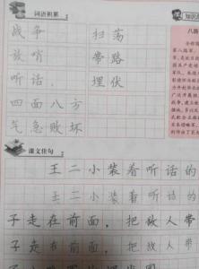 小学生词语积累大全 小学语文词语积累大全