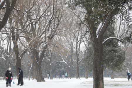 关于雪的优美片段大全 关于雪的优美片段