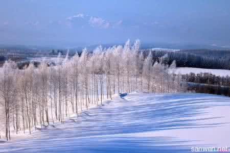 雪地寻踪里面的好句 雪地寻踪好词好句