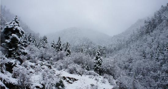 描写大雪纷飞的句子 描写大雪纷飞的好句