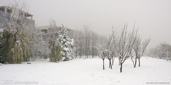 描写雪景的段落100字 描写雪景的段落