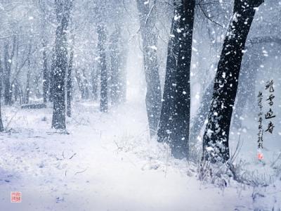 形容飞雪的比喻词 形容飞雪的比喻句