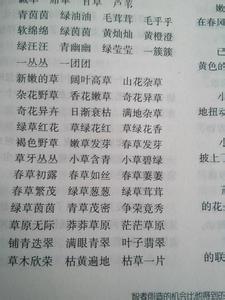 形容颜色的词语两个字 形容颜色的词语