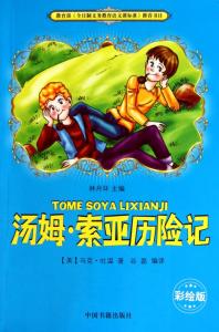 汤姆索亚历险记100字 汤姆索亚历险记主要内容100字  四篇