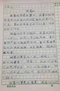 小桔灯读后感300字 《小桔灯》读后感