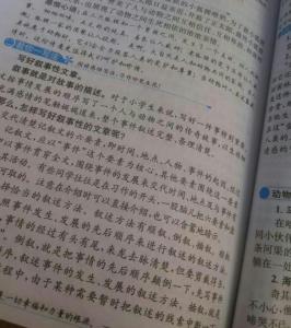 金色的脚印读后感400字 金色的脚印读后感