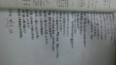 傅雷家书读书笔记800字 傅雷家书读书笔记1000字