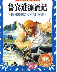 鲁滨逊漂流记第八篇 鲁滨逊漂流记主要内容3篇(2)