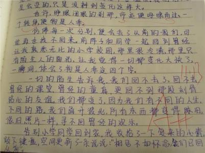 语文考试反思700字 初中语文教学反思700字2篇