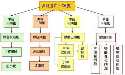 初中生两极分化现象 初中如何避免数学成绩两极分化