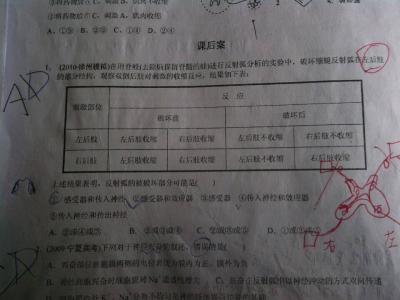 信息高速公路原文 信息高速公路阅读答案