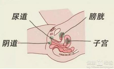 尿路感染吃什么蔬菜好 尿路感染不能吃什么