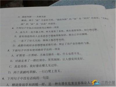 中考语文模拟卷含答案 2013年小升初语文考试卷(含答案)