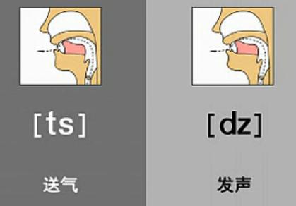 英语音标正确发音 英语音标正确发音的方法