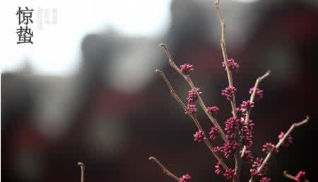 惊蛰一到什么季节来临 惊蛰是什么季节