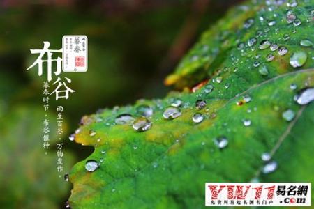 节气雨水是什么意思 二十四节气谷雨是什么意思