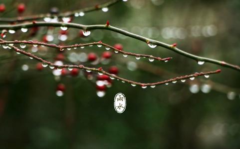 雨水节气祝福语 雨水节气贺词祝福语