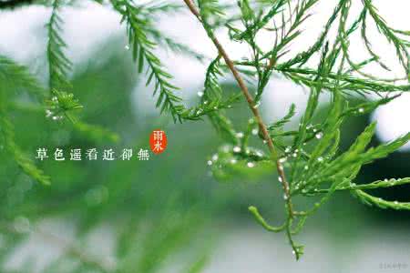 节气和下雨 雨水节气会下雨吗