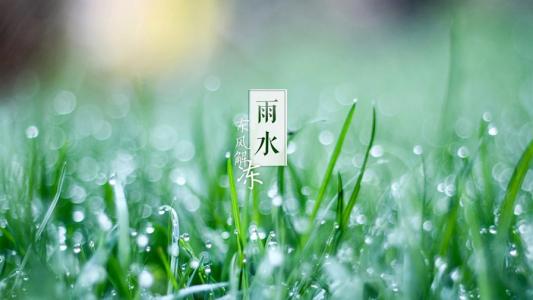 雨水节气祝福文章 雨水节气祝福短信大全