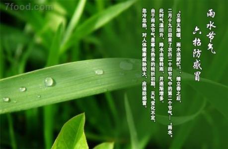 2017雨水节气 2017年雨水是几月几日 雨水节气知识大全