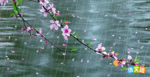 春节祝福语大全2017 2017年雨水养生祝福语大全