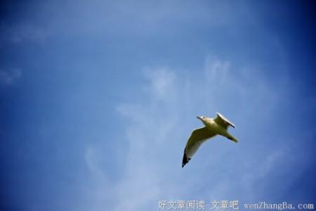 沧海桑田 沧海桑田，系一颗真心