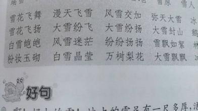 有关爱情的四字词语 有关爱情的成语