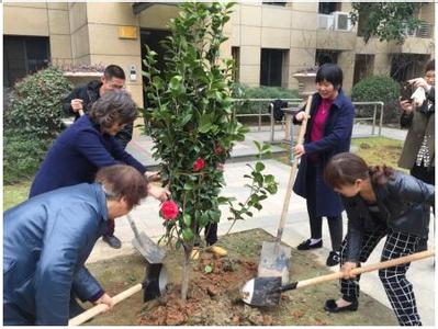 2017年植树节活动方案 2017年公司植树节活动方案