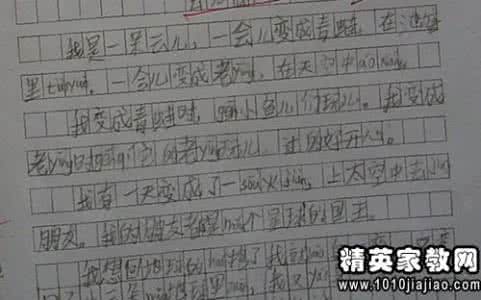 小学老师年度考核总结 小学老师年度考核自我鉴定