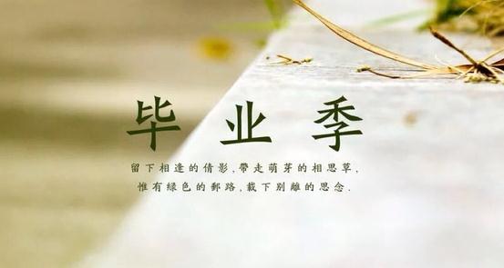 高中毕业感言 高中毕业感言  三篇