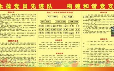 党支部工作总结范文 学校党支部工作总结范文