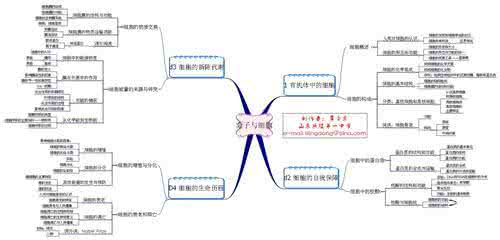 化学教学工作总结 初中 化学教学工作总结