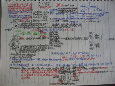 教师代表期末发言稿 期末学生代表发言稿