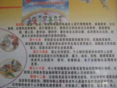 小学生的教育心得 小学生家庭教育心得体会