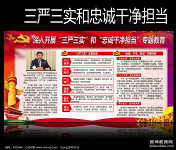 2015三严三实和忠诚干净担当学习心得体会_三篇