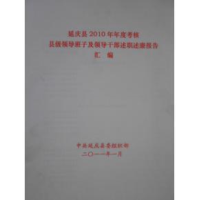 党外干部履职报告 干部年终履职报告