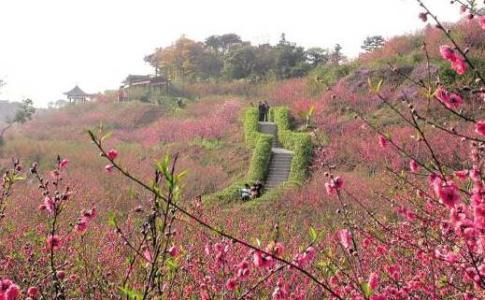 2015年清明节 2015年清明节去哪儿玩