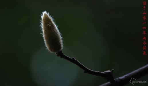 雨水节气民俗活动 有趣的雨水节气活动