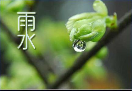 雨水节气的含义 雨水节气的表示