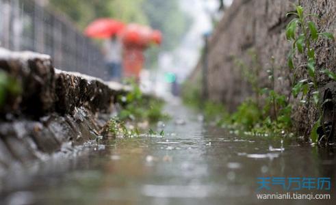 关于节气的农谚 雨水节气农谚