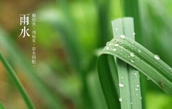 雨水节气养生 雨水养生吃什么好