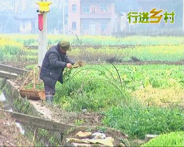 清明农事农谚 雨水节气农事农谚