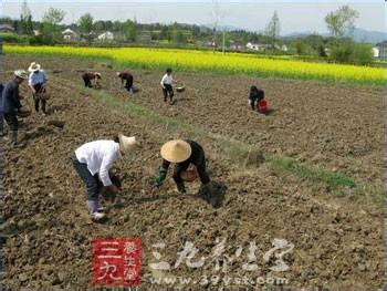 立春雨水惊蛰春分 立春、雨水为黄豆最佳播种期