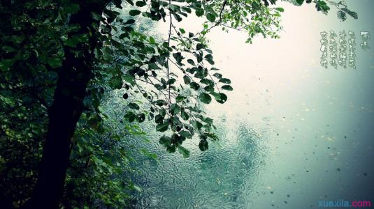 今年清明时节雨水少 雨水时节里祝福彼此